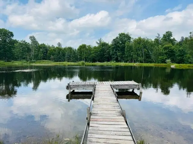 11001 Little George Lake Road, Gladwin, MI 48624 - #3
