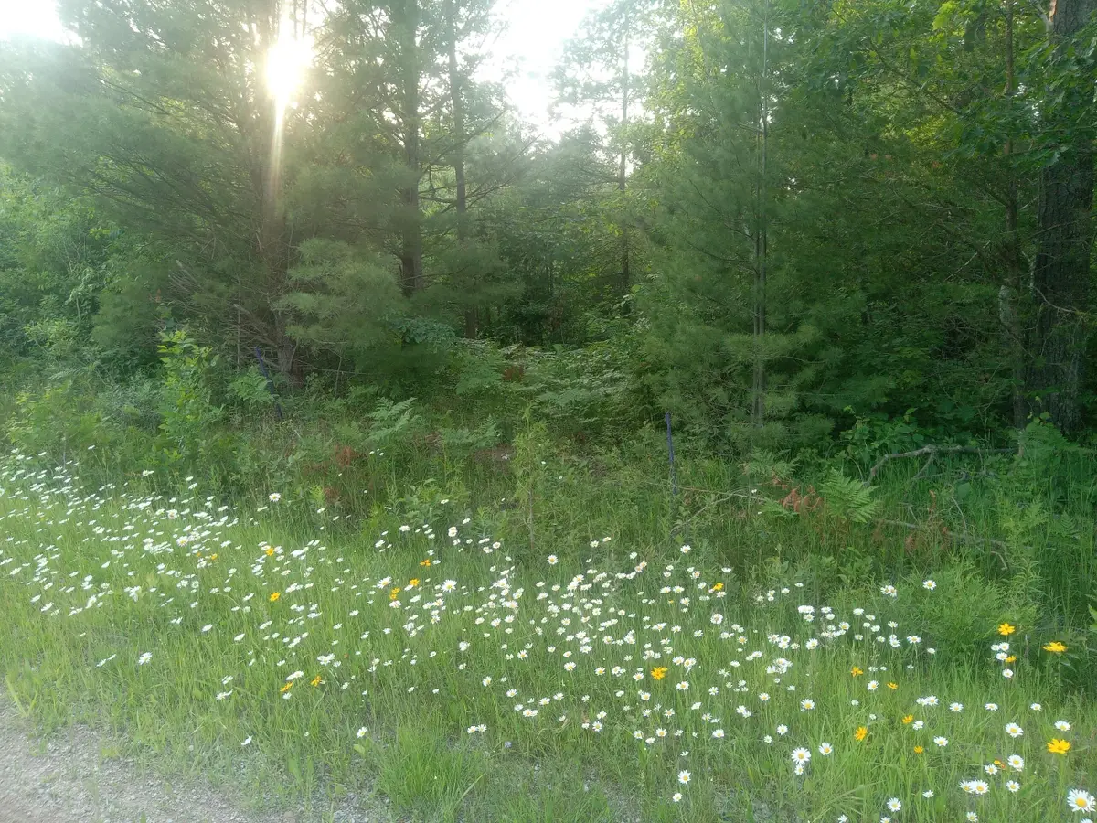 V/L 4.5 ac Beach Highway, Millersburg, MI 49759 - #1