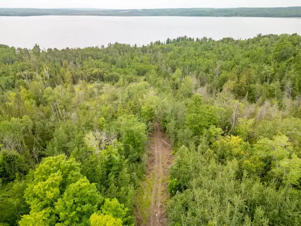 56.7 AC Emils Landing Road, Hillman, MI 49746