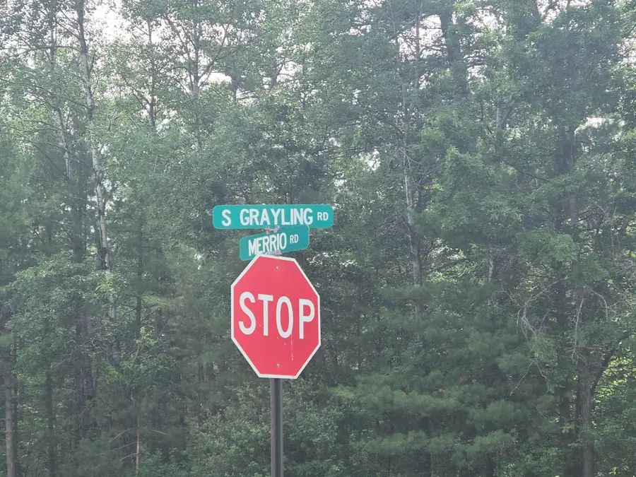 10831 S Grayling Road, Roscommon, MI 48653 - #3