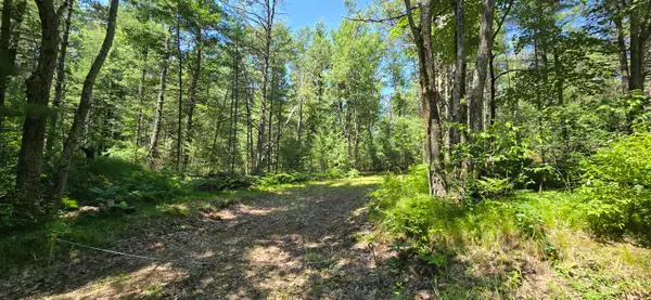 5 AC W Maplehurst Drive, Roscommon, MI 48653