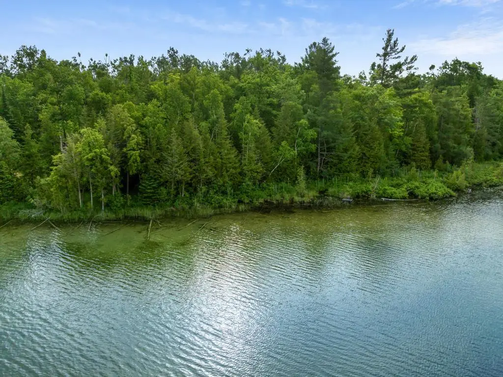 9729 N Godin Circle, Cheboygan, MI 49721 - #1