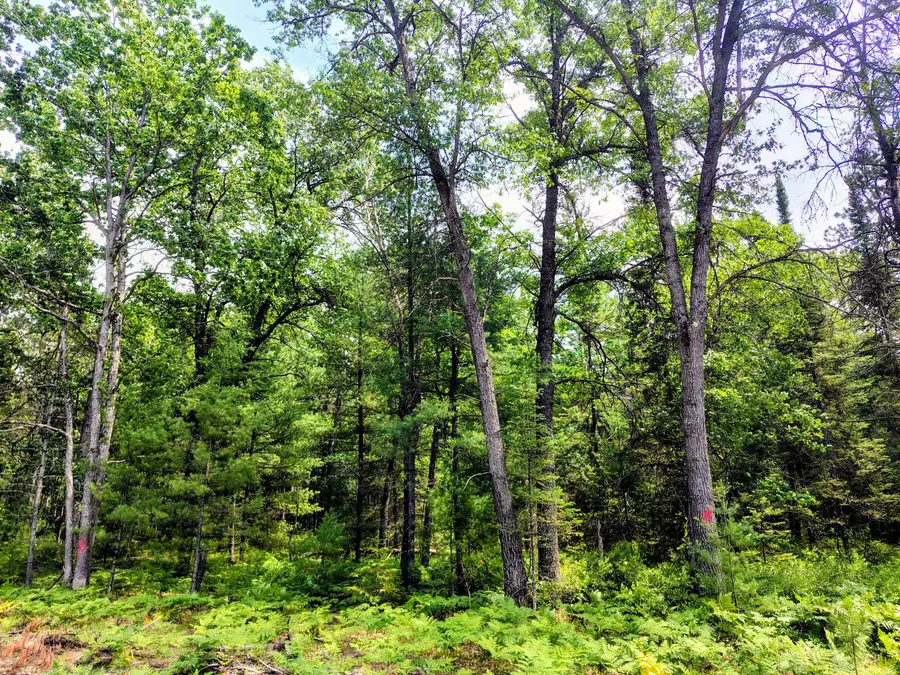 3715 Whisper Cove, Prudenville, MI 48651 - #3