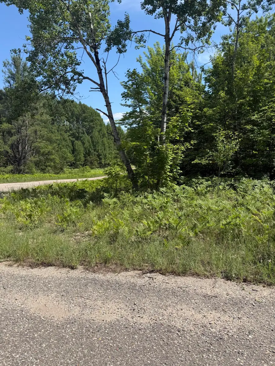 Lot 64 Northover Circle Road, Mancelona, MI 49659 - #3