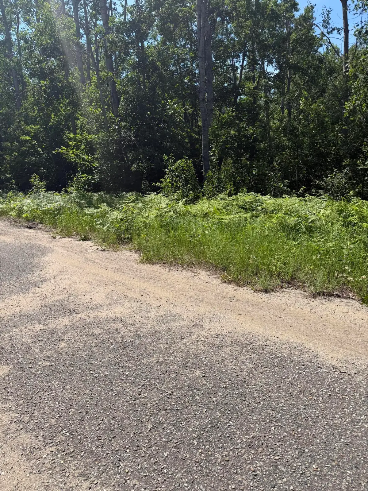 Lot 73 Northover Circle Road, Mancelona, MI 49659 - #1