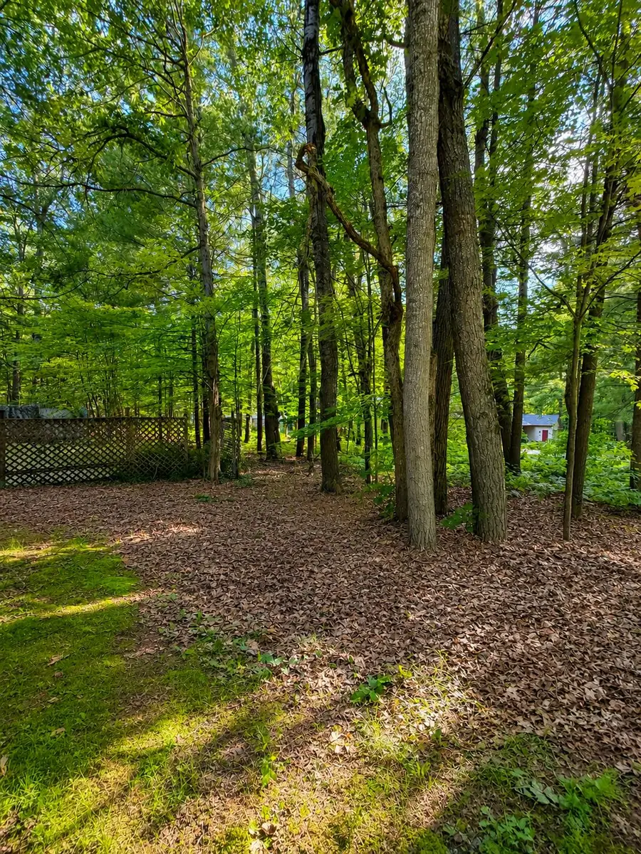7365 W Nestel Road, Houghton Lake, MI 48629 - #3