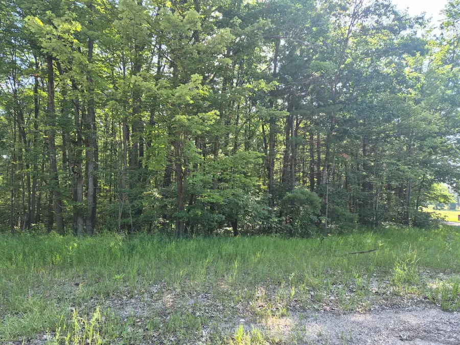 W Pinewood Drive, Roscommon, MI 48653 - #3