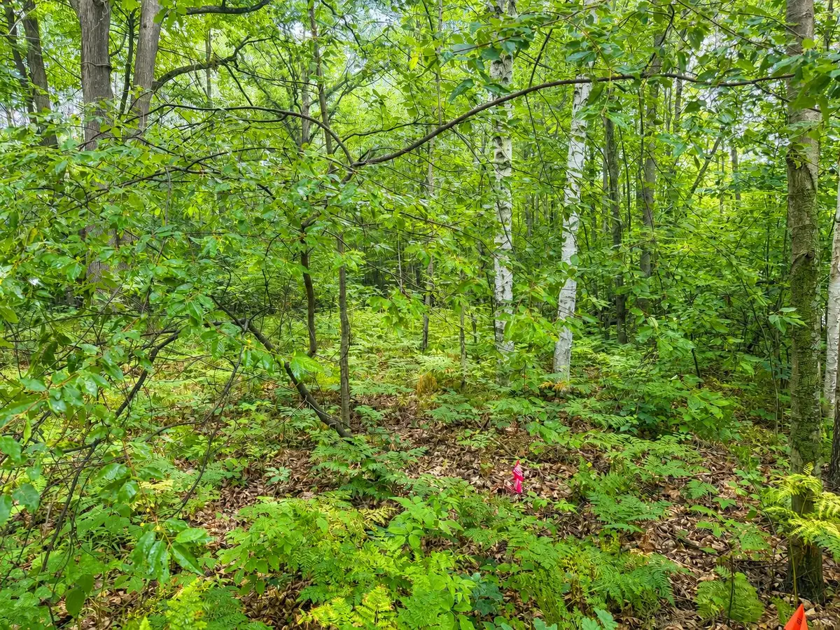 VL .61 AC Bay City Trail, Houghton Lake, MI 48629 - #1