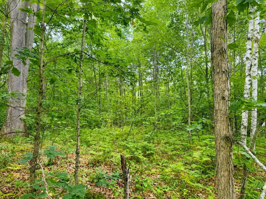 VL .61 AC Bay City Trail, Houghton Lake, MI 48629 - #3