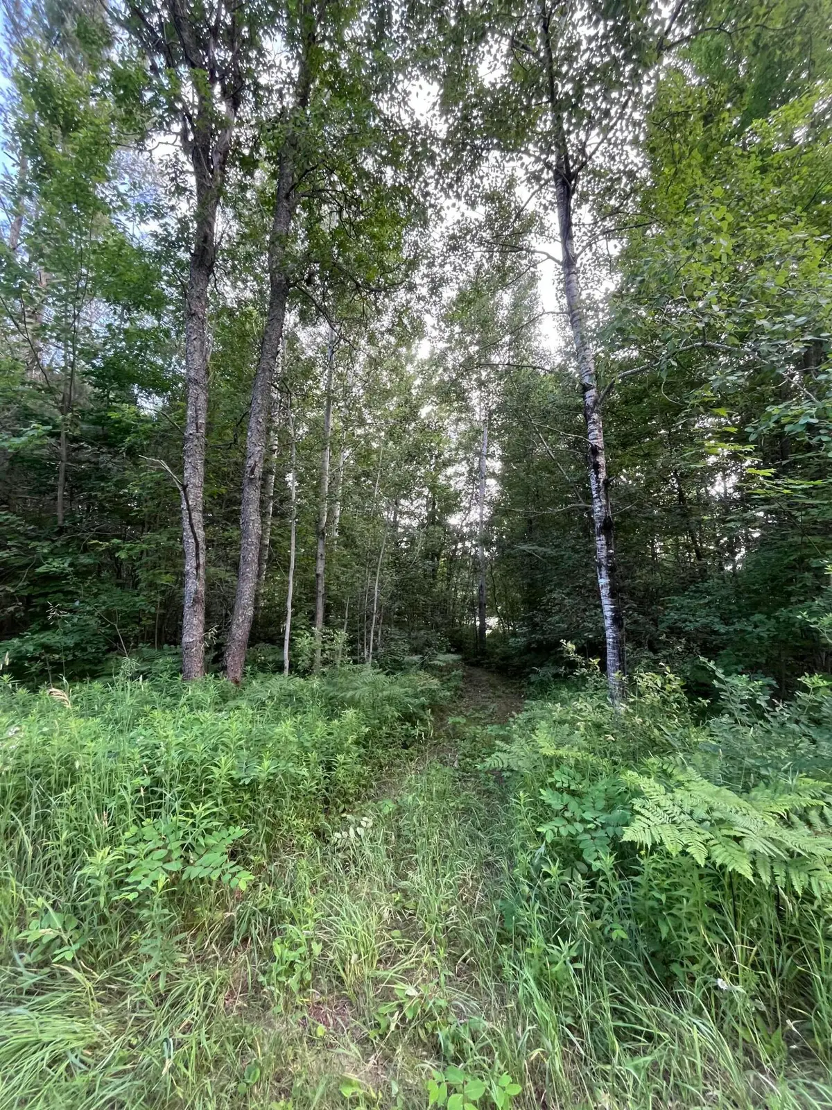 Lot 251 Sunridge Drive, Elmira, MI 49730 - #1