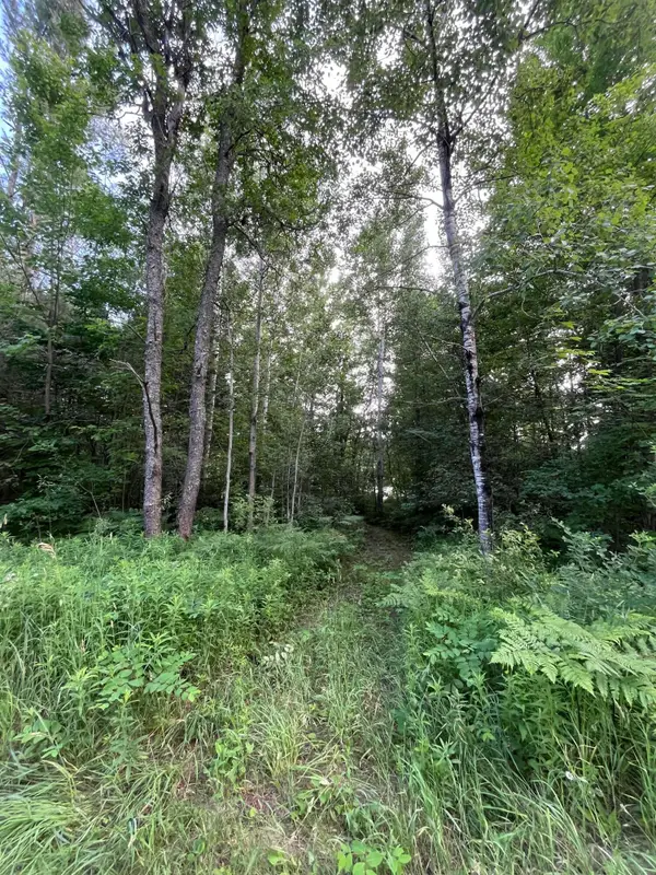 Lot 251 Sunridge Drive, Elmira, MI 49730