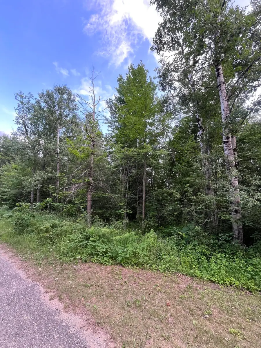 Lot 251 Sunridge Drive, Elmira, MI 49730 - #3