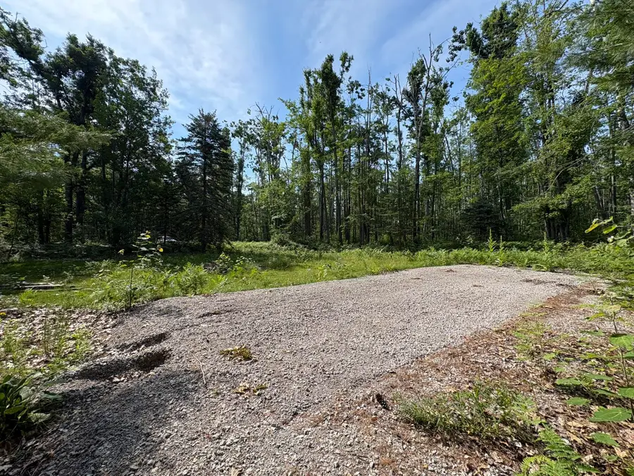 6885 Klein Road, Hillman, MI 49746 - #3