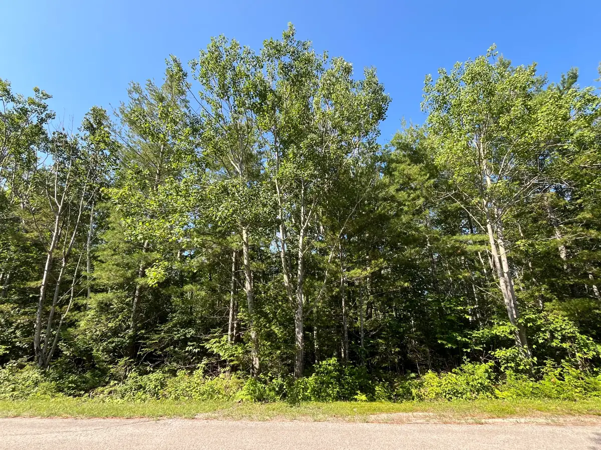 Lot 327 Fallen Timbers Drive, Presque Isle, MI 49777 - #1