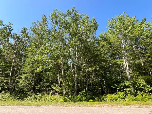 Lot 327 Fallen Timbers Drive, Presque Isle, MI 49777