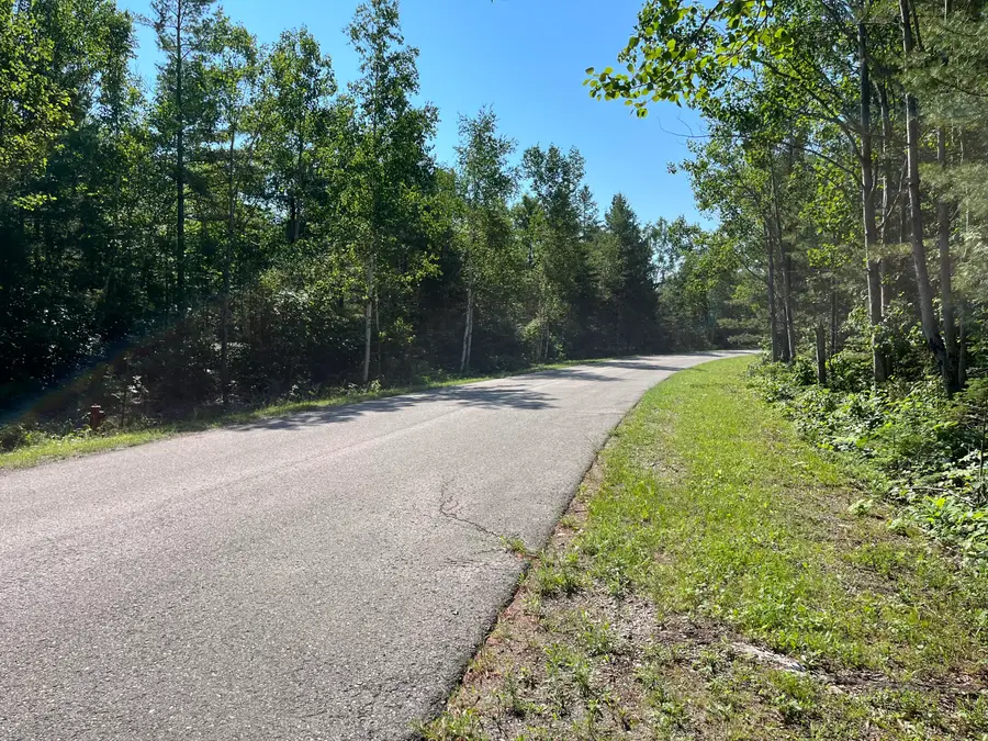 Lot 327 Fallen Timbers Drive, Presque Isle, MI 49777 - #3