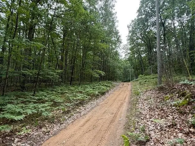 V/L Beechwood Drive, Roscommon, MI 48653 - #3