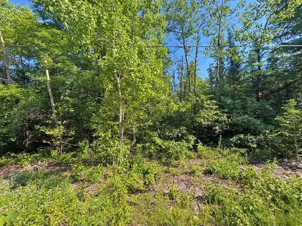 V/L Pineview Drive, Presque Isle, MI 49777
