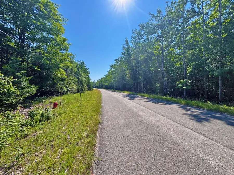 V/L Pineview Drive, Presque Isle, MI 49777 - #3