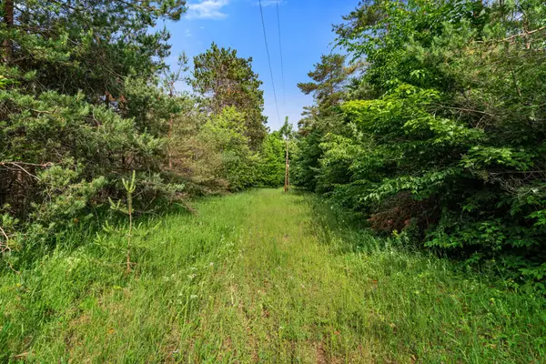 3745 Shaff Road, Gaylord, MI 49735