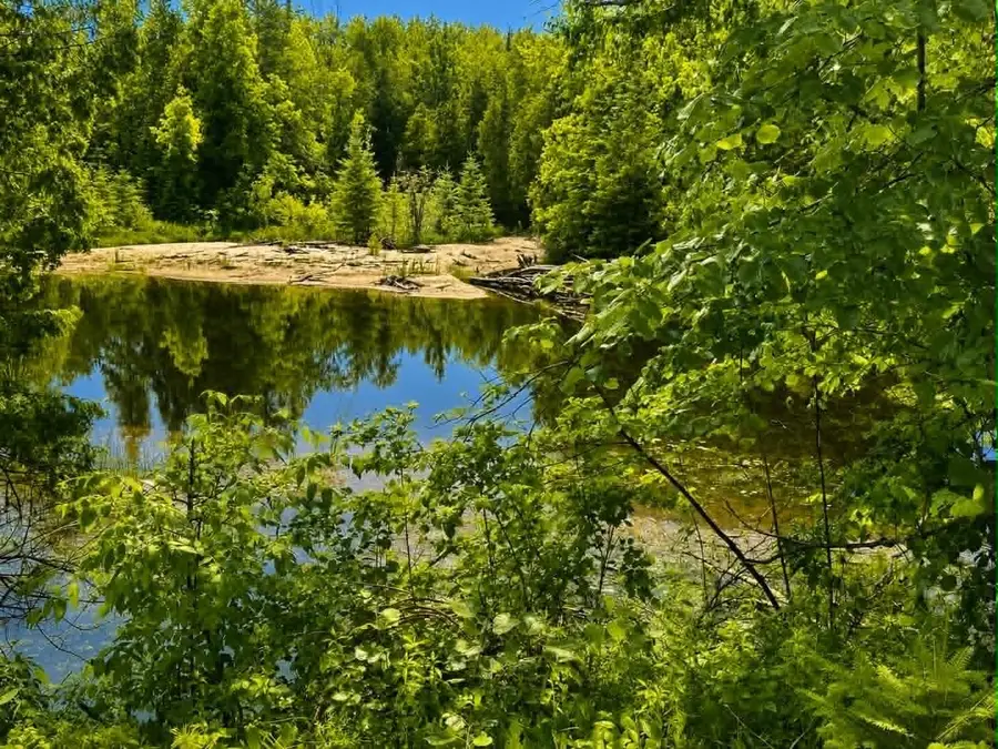 7038 Long Rapids Road, Alpena, MI 49707 - #3