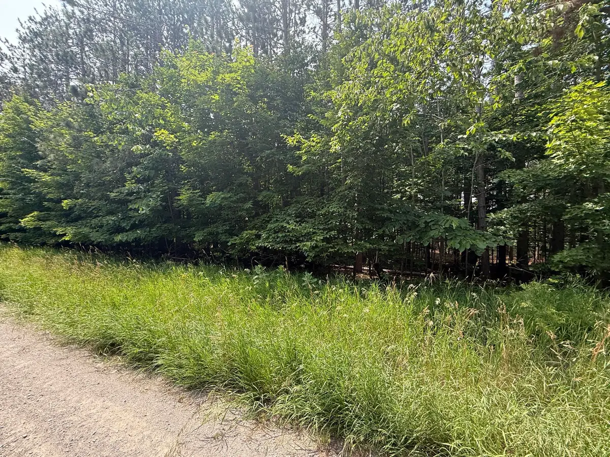 1.82 AC M-33 Highway, Cheboygan, MI 49721 - #1