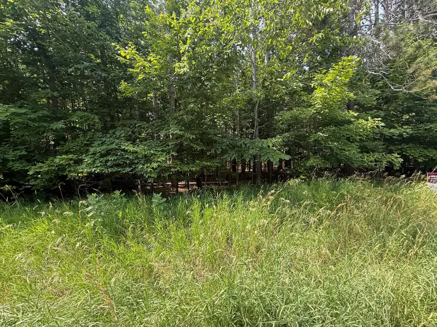 1.82 AC M-33 Highway, Cheboygan, MI 49721 - #3