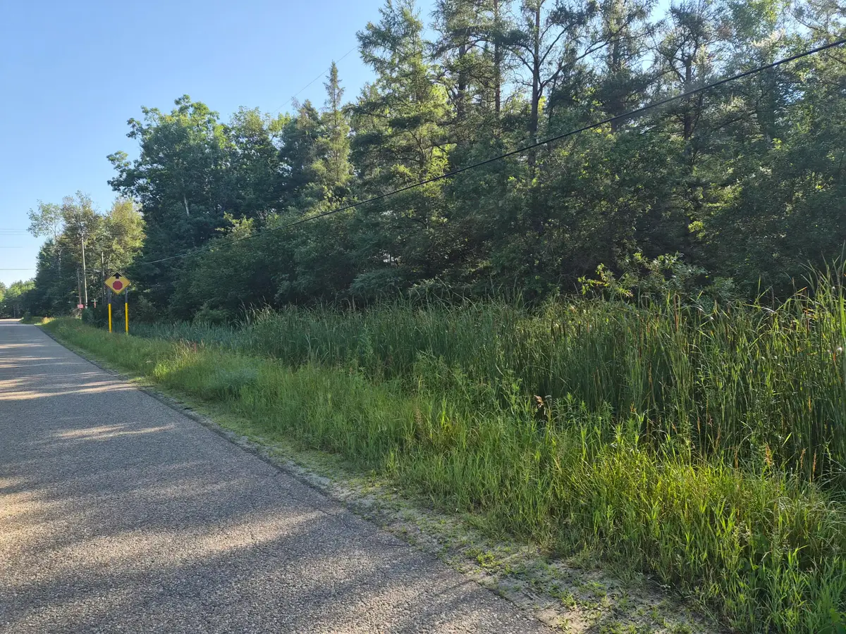 V/L Eagle Point Road, Grayling, MI 49738 - #1