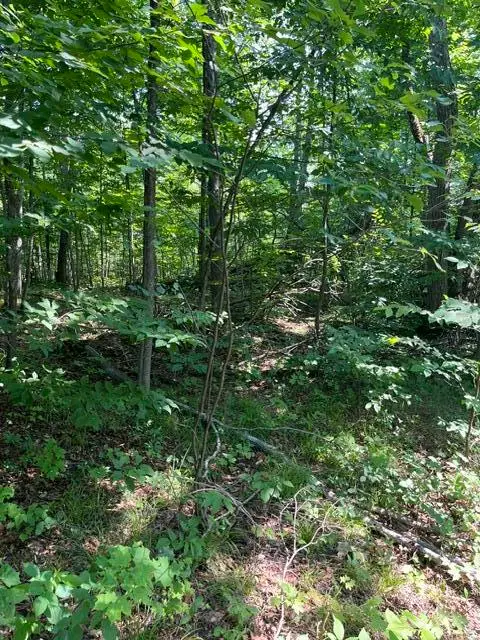10 AC N Sherman Road, Frederic, MI 49733