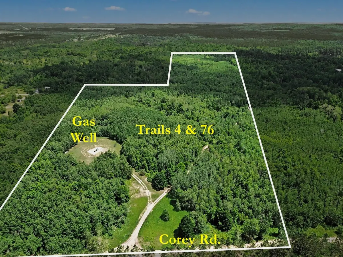 VL Corey Road, Mancelona, MI 49659 - #1