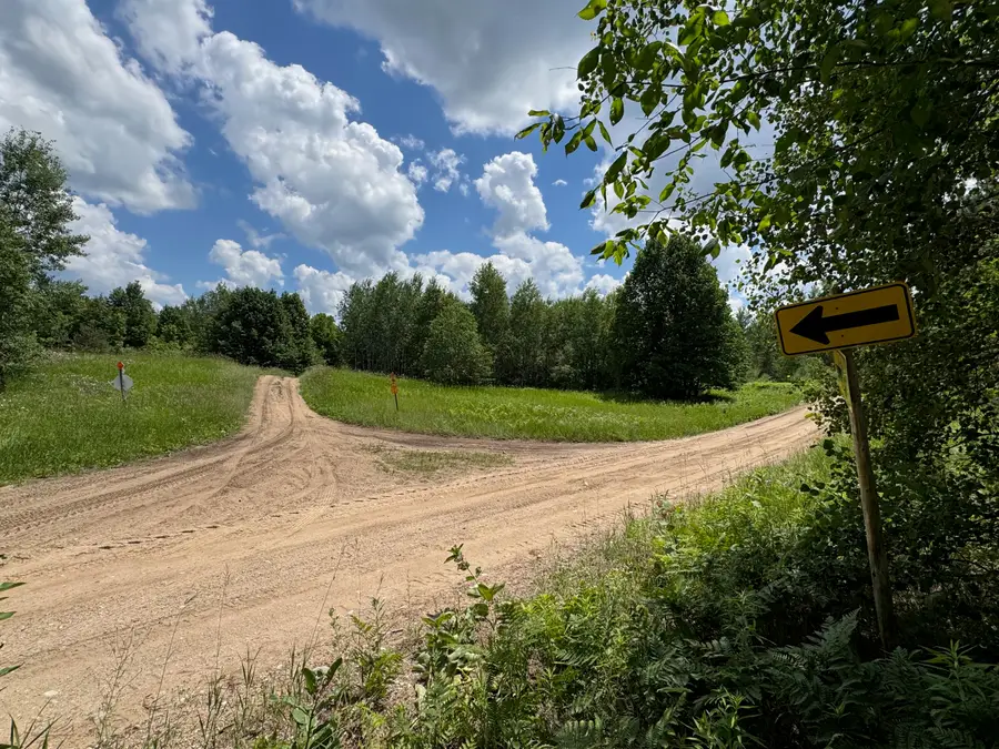 VL Corey Road, Mancelona, MI 49659 - #3