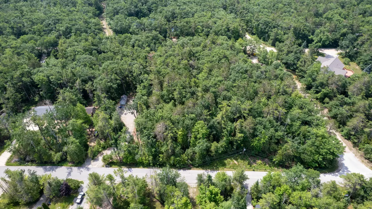 8340 Cordwood Trail, Cheboygan, MI 49721 - #1