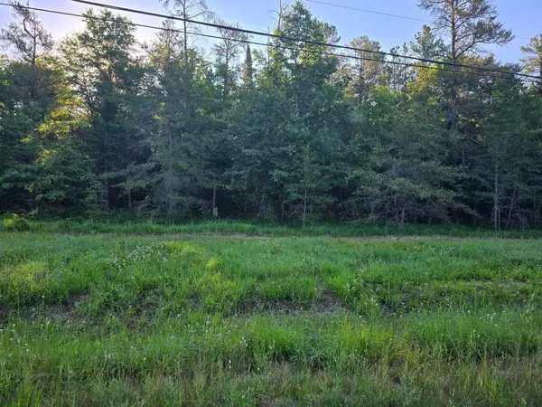 5.0 AC Joyce Kilmer Road, Roscommon, MI 48653