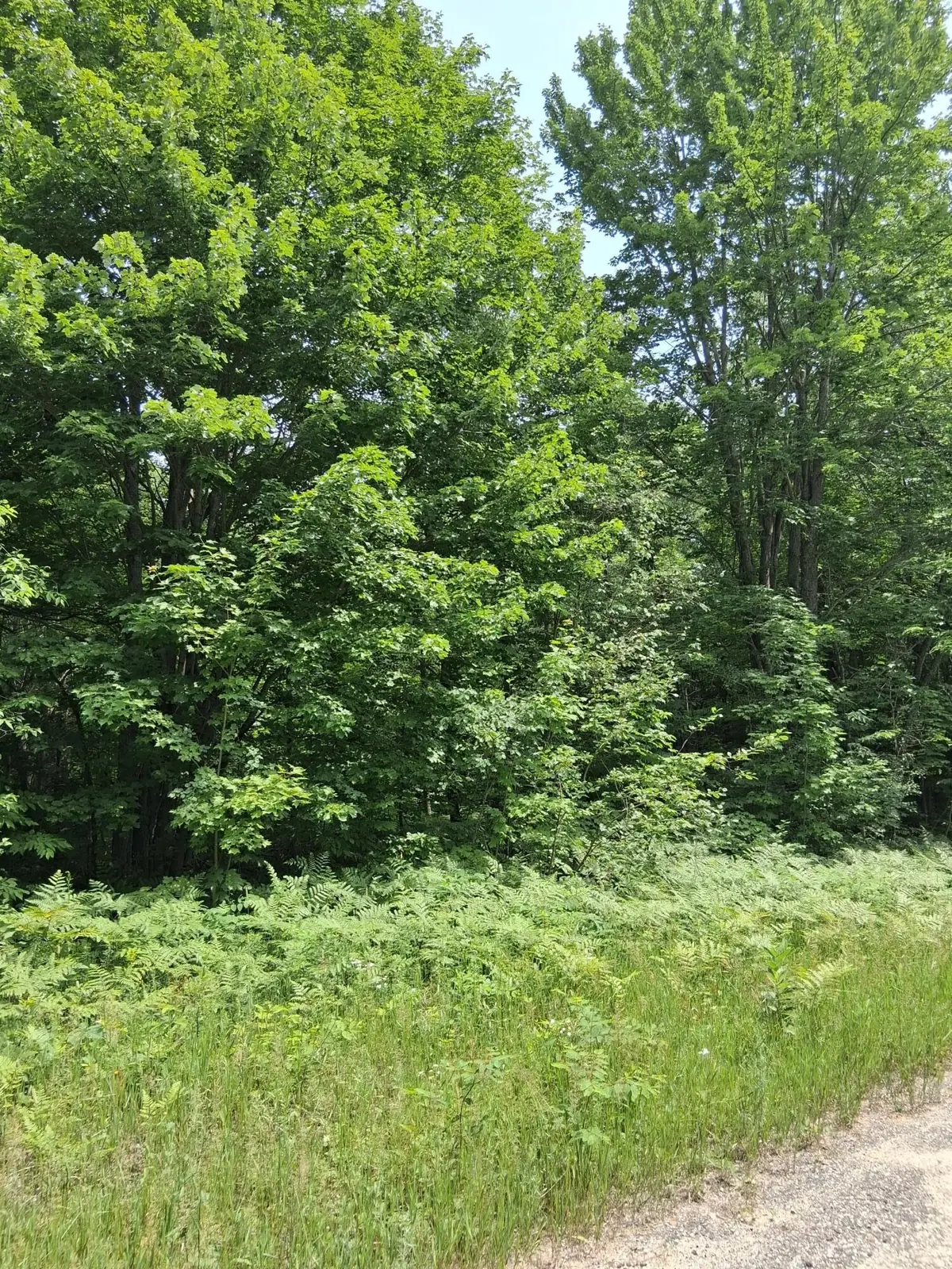 Lot 569 Crestwood Drive, Mancelona, MI 49659 - #1