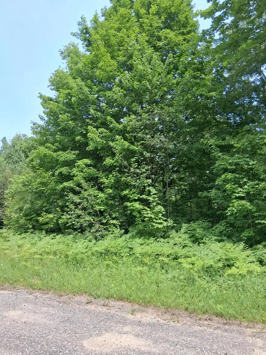 Lot 569 Crestwood Drive, Mancelona, MI 49659 - #2