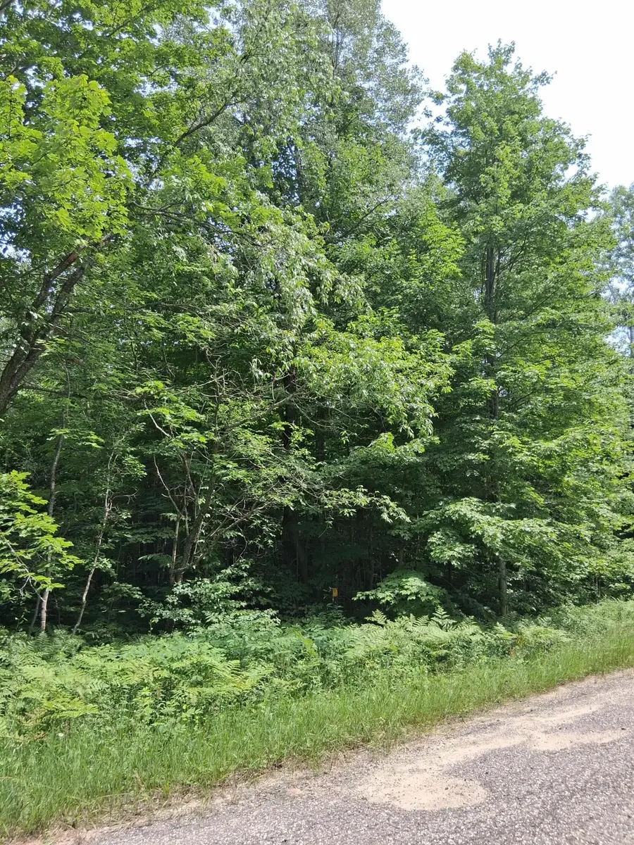 Lot 569 Crestwood Drive, Mancelona, MI 49659 - #3