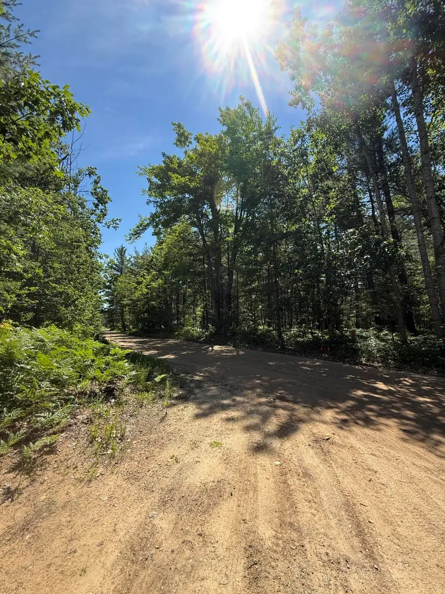 187 Newago Trail, Gaylord, MI 49735 - #3