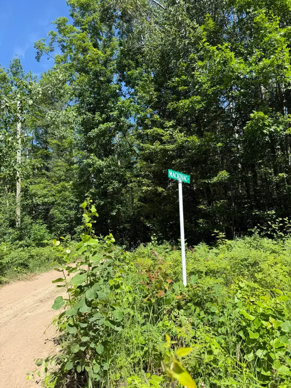 375 Mackinaw Trail, Gaylord, MI 49735