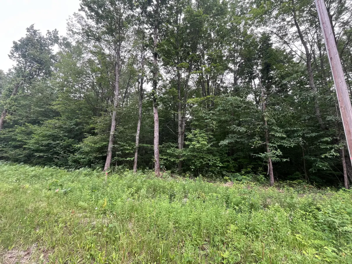 71 Valleyway Drive, Elmira, MI 49730 - #1