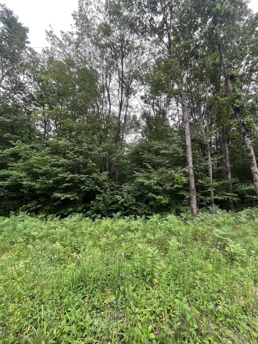 71 Valleyway Drive, Elmira, MI 49730 - #3