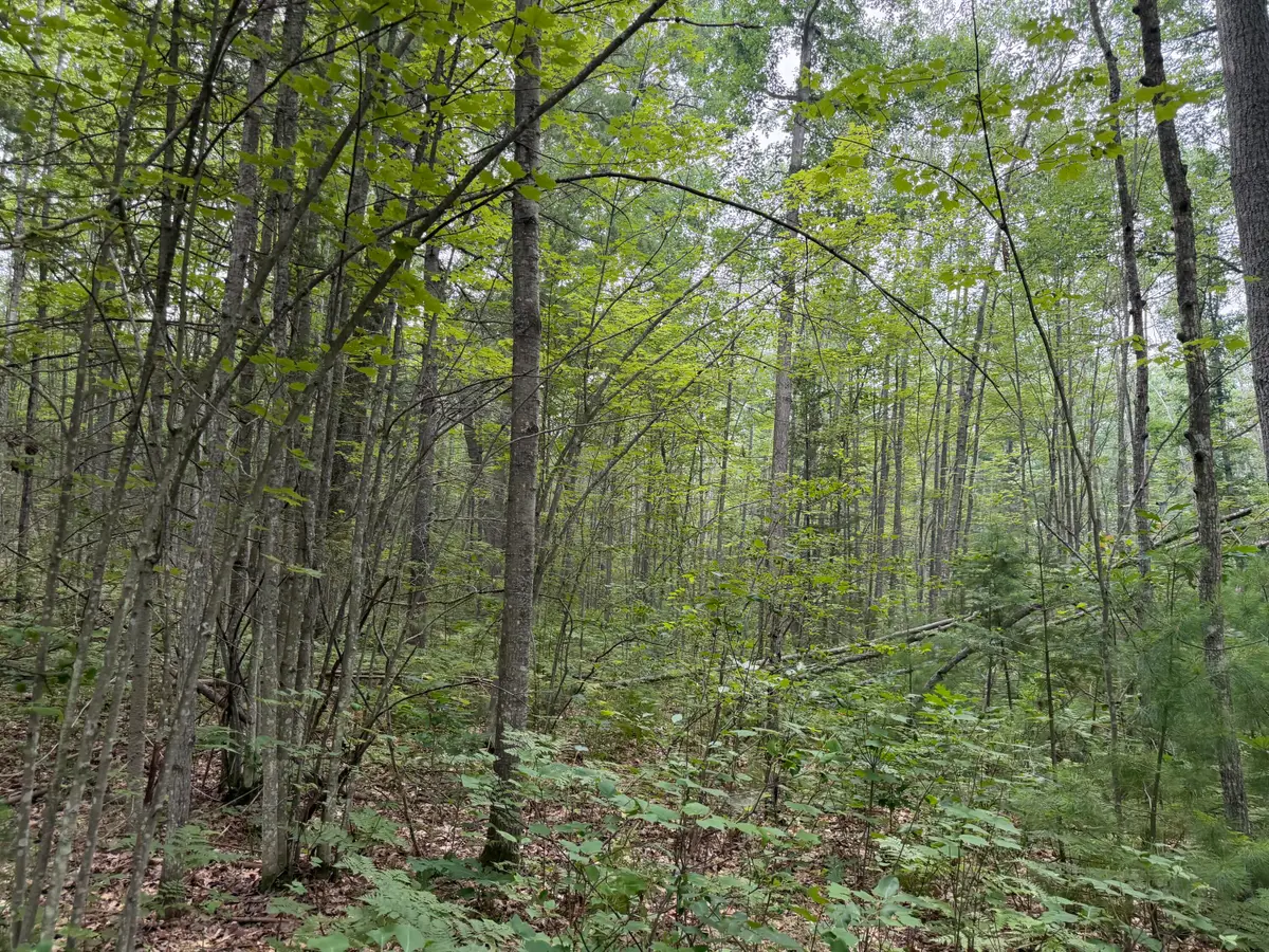 12055 Michigan 33, Atlanta, MI 49709 - #1