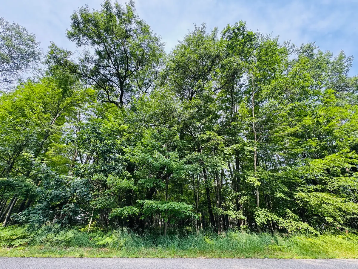 Lot 254 Goldenrod Drive, Houghton Lake, MI 48629 - #1