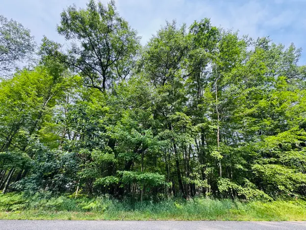 Lot 254 Goldenrod Drive, Houghton Lake, MI 48629