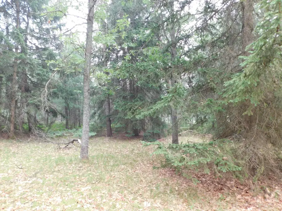 2906 E M-72, Grayling, MI 49738 - #3