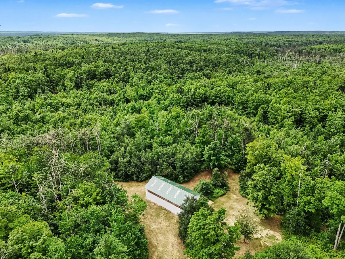 6186 Tobys Trail, Gaylord, MI 49735 - #1