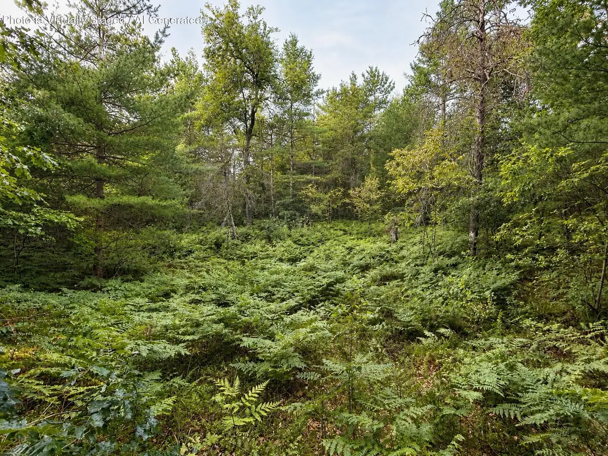 10 Acres Bear Lake Road, Johannesburg, MI 49751 - #1