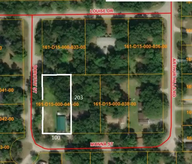 6730 Monna Street, Indian River, MI 49749 - #2