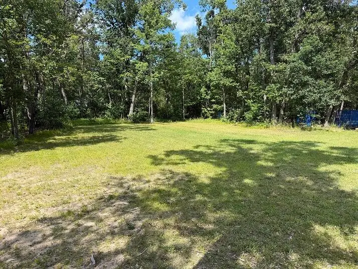 6730 Monna Street, Indian River, MI 49749 - #3