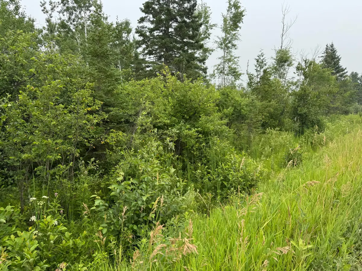 V/L 1 AC Page Road, Cheboygan, MI 49721 - #1