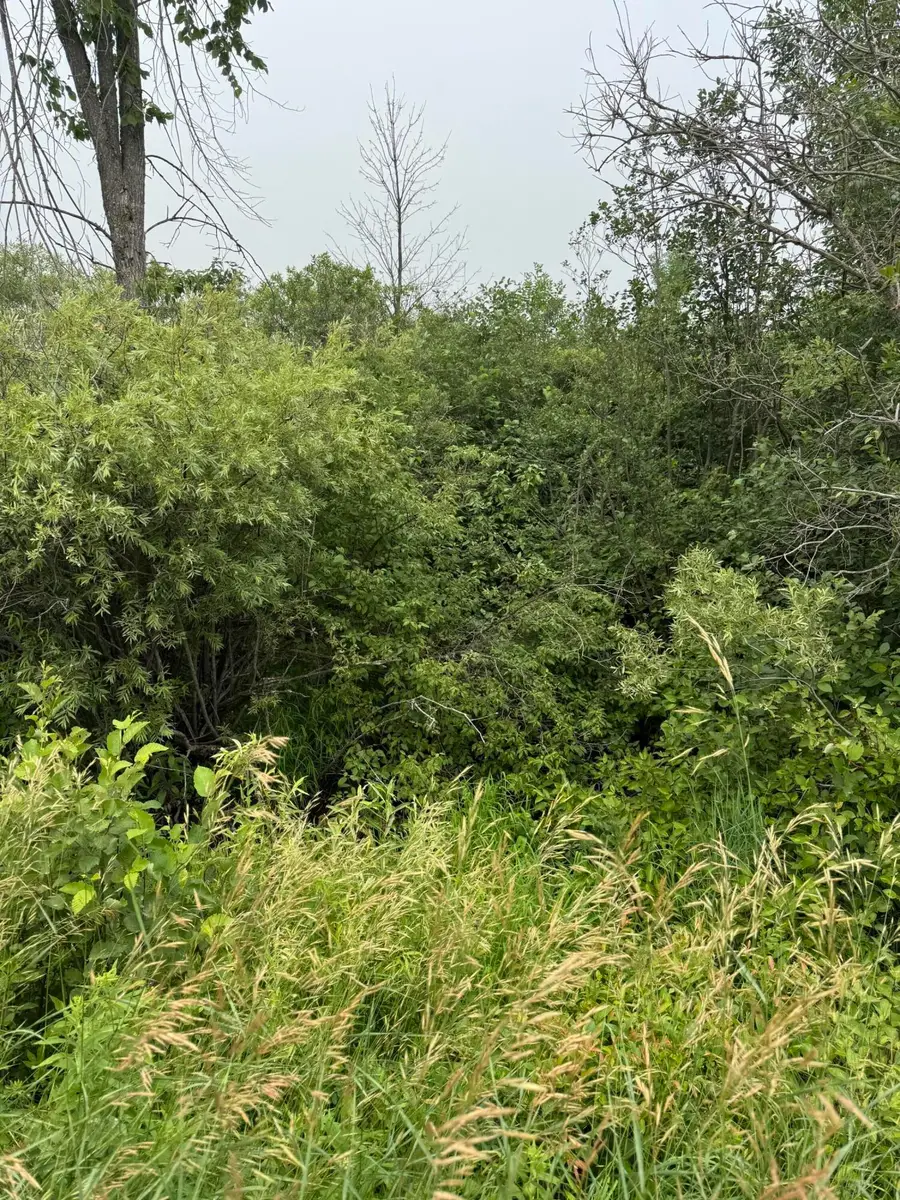 V/L 1 AC Page Road, Cheboygan, MI 49721 - #3